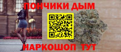 индика Нягань