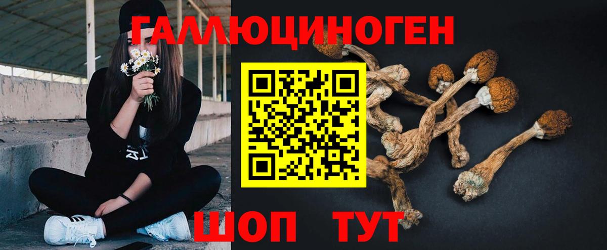 Галлюциногенные грибы мухоморы  Вход с VPN  Саянск 